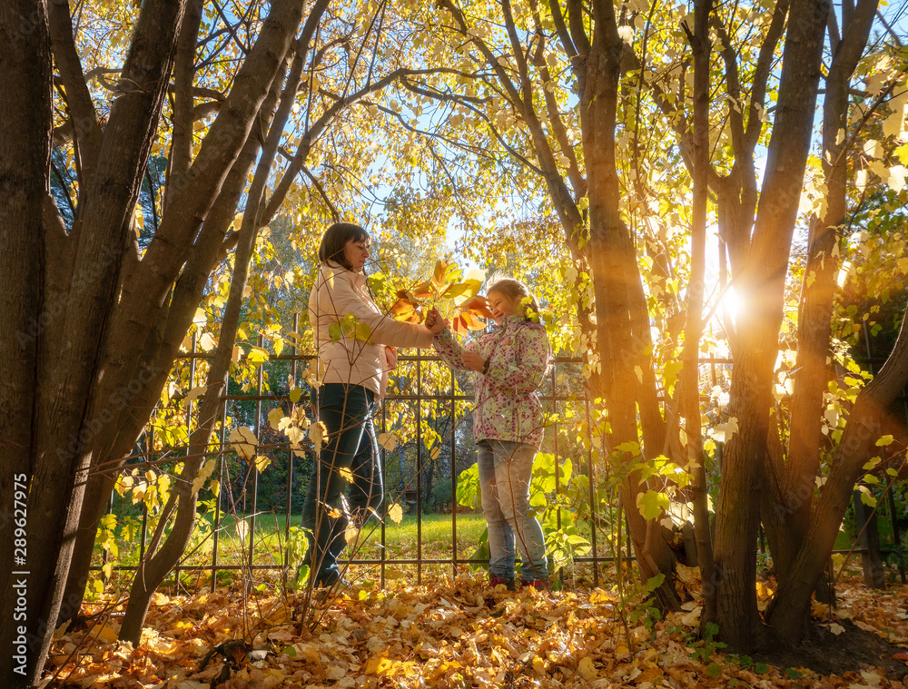Fototapeta premium Happy family on an autumn walk.