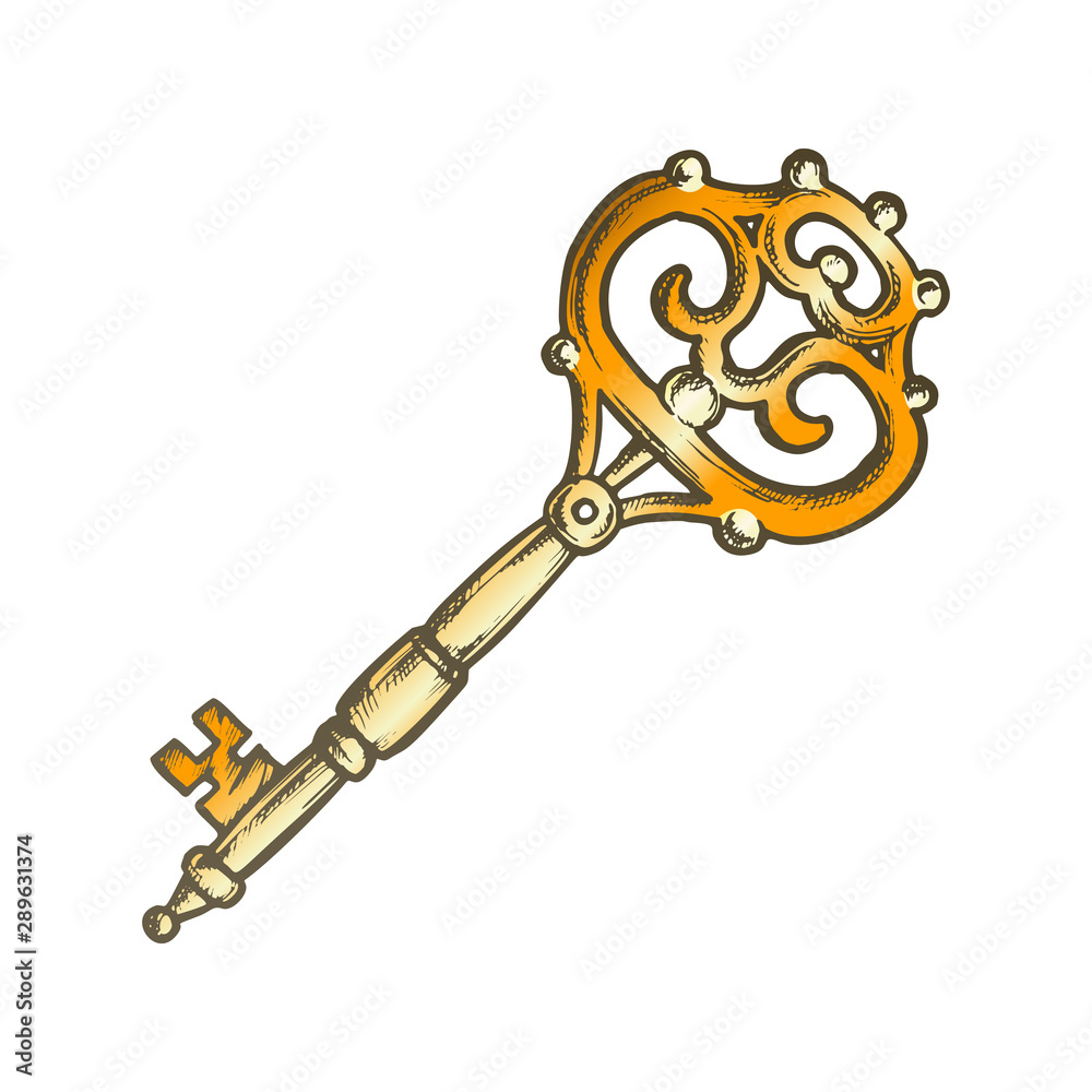 Locked and unlocked gold locks with keys Vector Image