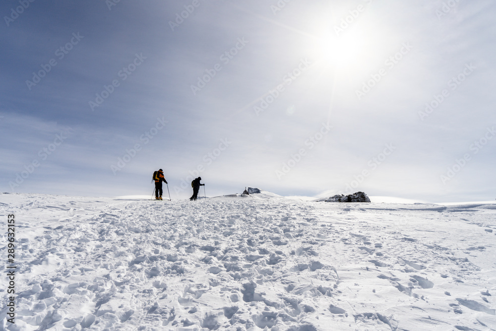 People doing cross-country skiing in Sierra Nevada