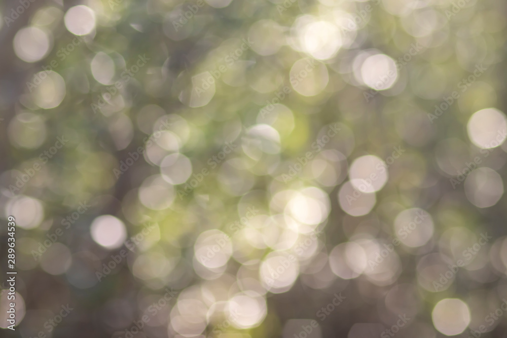 Obraz premium Nature sunny abstract summer background with sun and bokeh. Autumnal natural background blurring with sun rays.
