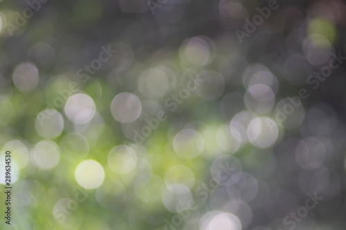 Nature sunny abstract summer background with sun and bokeh. Autumnal natural background blurring with sun rays. 