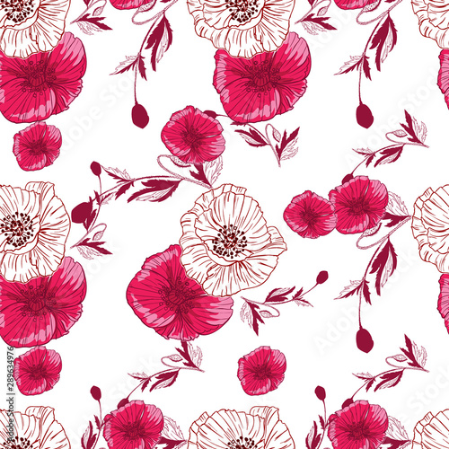 Flourish poppies pattern in line art style. Poppy flower line art. Botanical seamless vector texture. Colorful background blossoming bloomy vector. Wildflowers handcrafted artsy poppy surface design