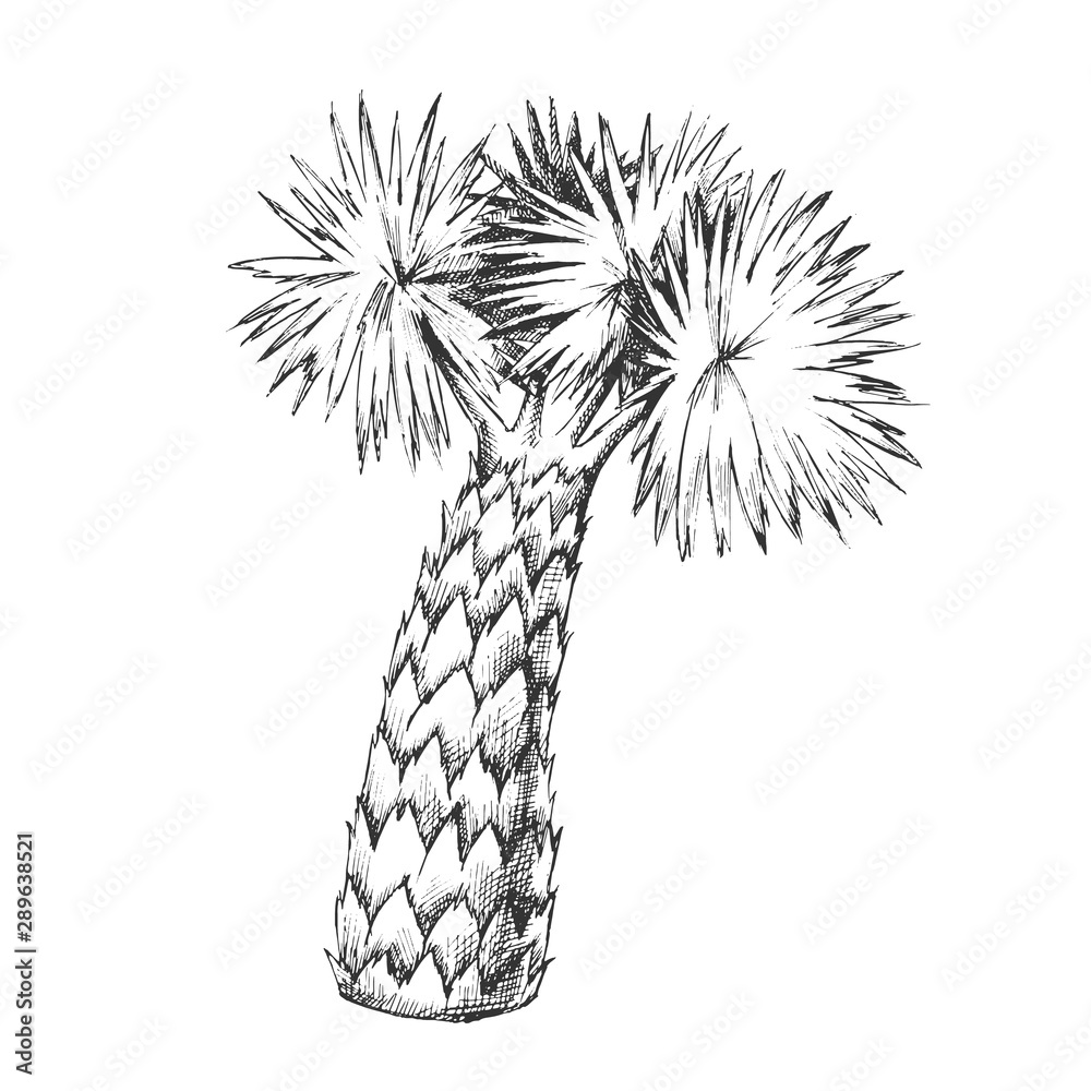 Palm Tree Trunk Template