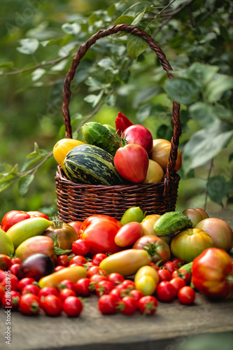 Fresh crop of vegetables in baskets on a table in the garden