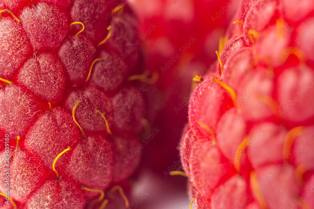 berries of red raspberries close-up. sweet summer medicinal berries macro details