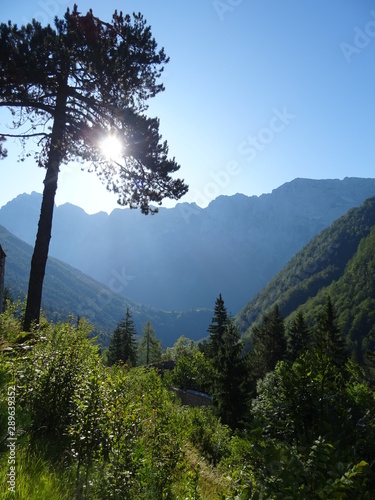 berge, baum und sonnenlicht im landschaftsidyll in slowenien