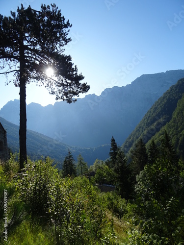 berge, baum und sonnenlicht im landschaftsidyll in slowenien