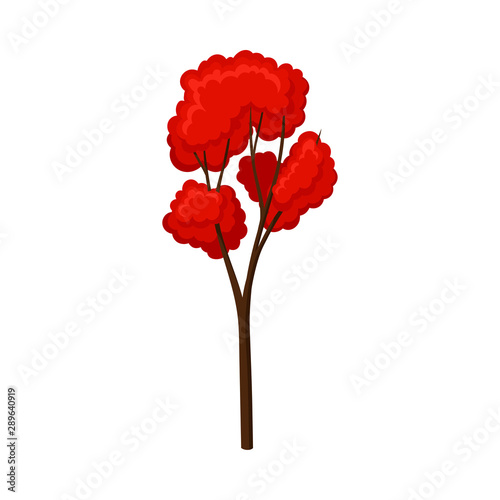 Thin tree with a red crown. Vector illustration on a white background.