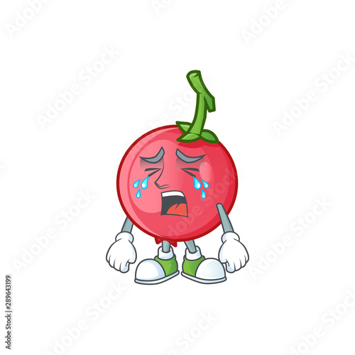 Crying sweet lovi lovi fruit for icon character. photo