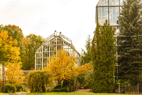 high greenhouse in the autumn park