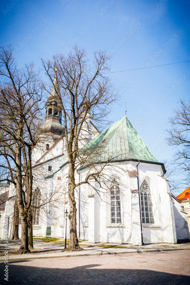 White St Mary`s Cathedral in Tallinn, Estonia