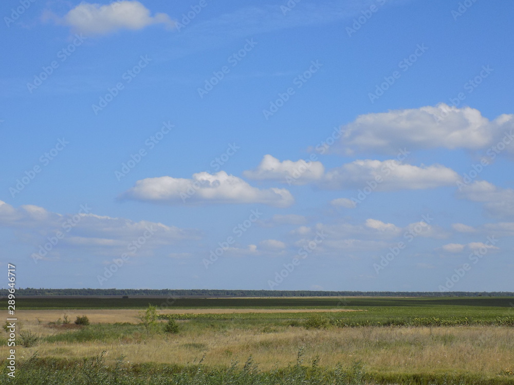 Summer Sunny day. Grass, field, high blue sky with snow-white clouds. Beautiful summer landscape. Summer Sunny day. Grass, field, high blue sky with snow-white clouds. Beautiful summer landscape.