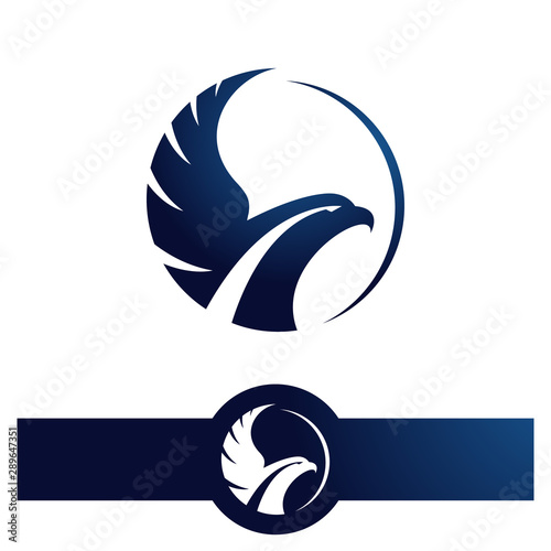 awk Falcon Eagle vector Logo design icon illustration Template