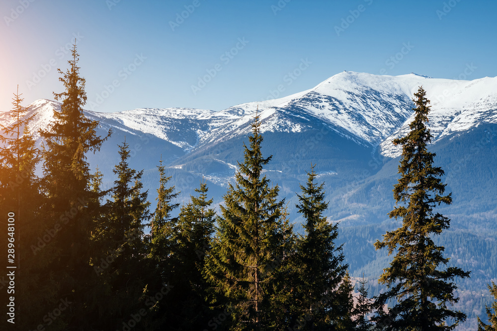 Scenic image of snowy peaks in the sunlight. Location Carpathian national park.