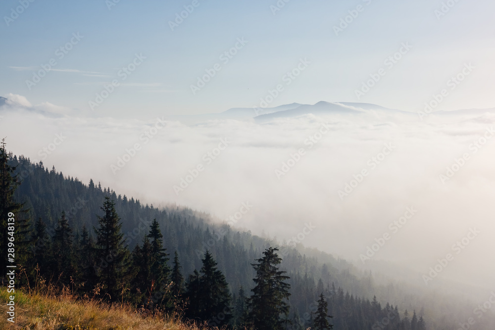 Scenic image of misty valley. Locations Carpathian national park, Ukraine.