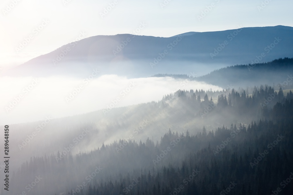 Scenic image of misty valley. Locations Carpathian national park, Ukraine.