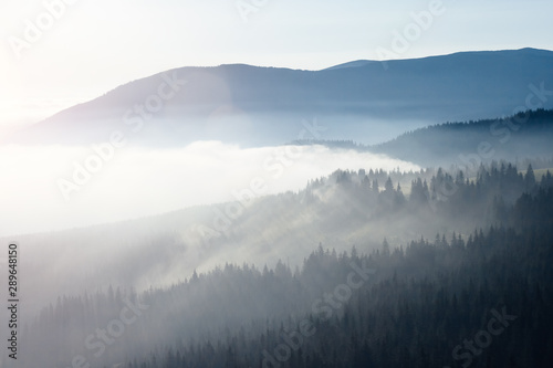 Scenic image of misty valley. Locations Carpathian national park, Ukraine. © Leonid Tit