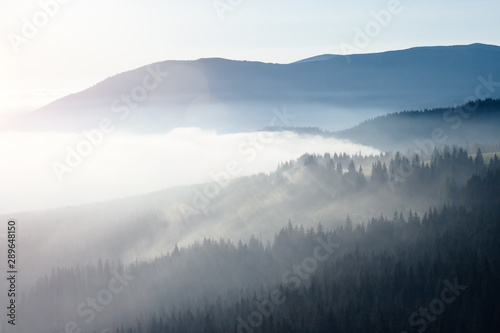 Scenic image of misty valley. Locations Carpathian national park, Ukraine.