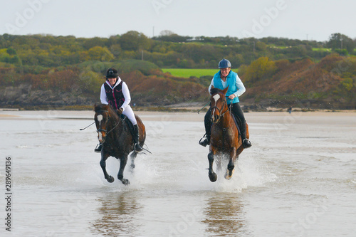 Two horses racing down a beach in the sea. 