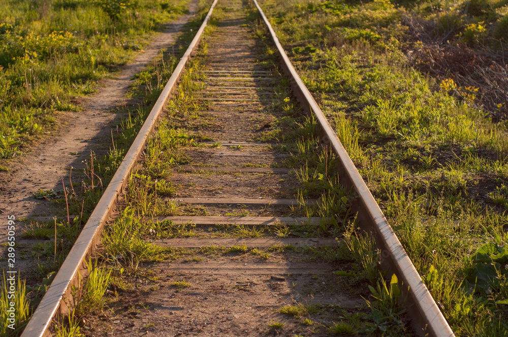 Obraz premium railway rails.old narrow gauge railway. road for the carriage of freight cars. rusty rails