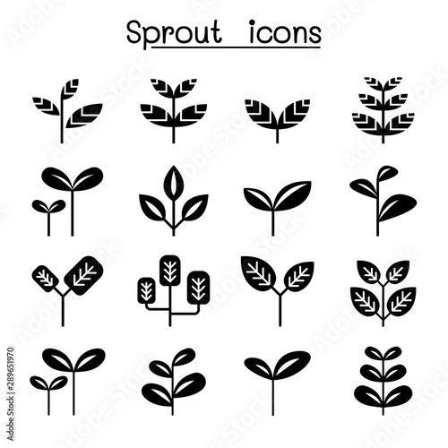 Sprout, plant, treetop, leaf icon set vector illustration graphic design