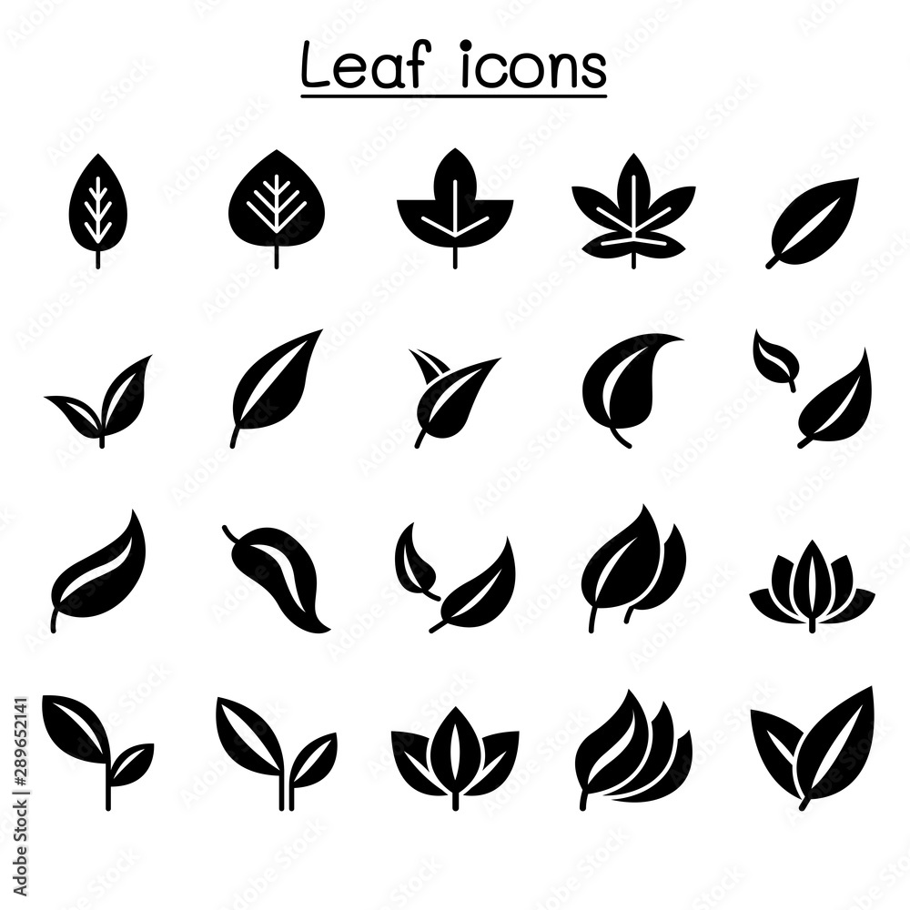 Leaf icon set vector illustration graphic design Leaf icon set vector illustration graphic design