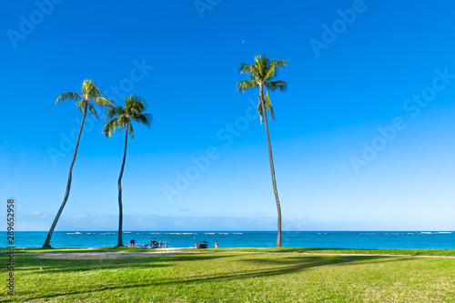 【ハワイ】ビーチ沿いの公園