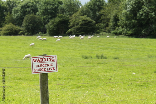 An Electrified Boundary Fence on a Farm Sheep Field.