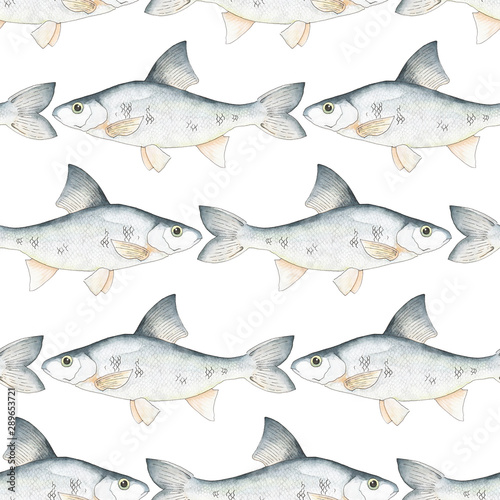fish sea salmon watercolor pen isolated pattern