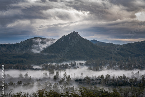 Early morning fog in Franklin-Gordon Wild Rivers National Park, Tasmania