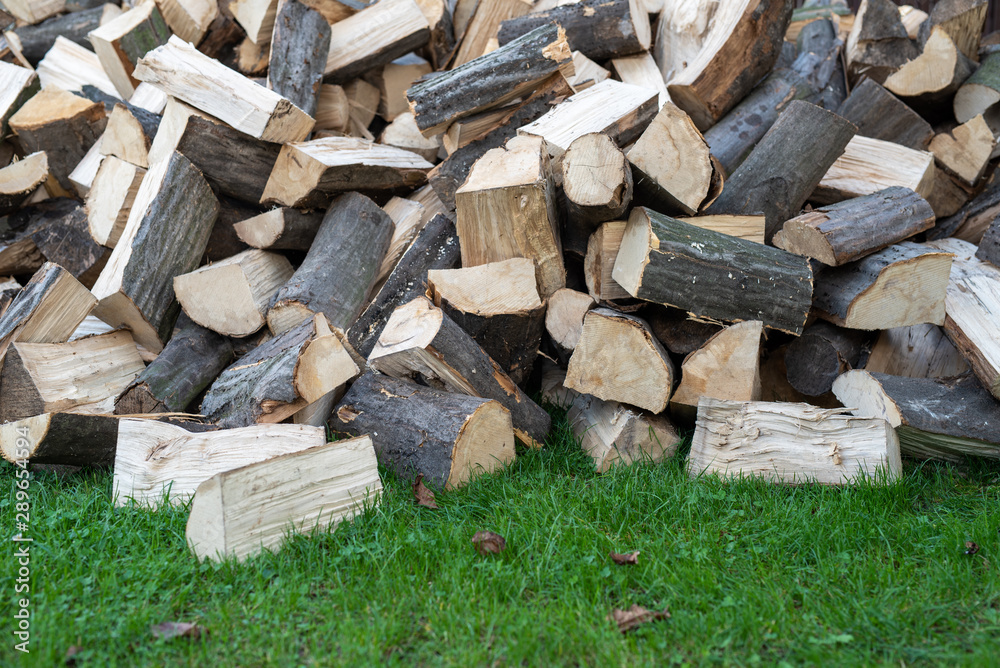 Hornbeam firewood stack on green grass Hornbeam firewood stack on green grass