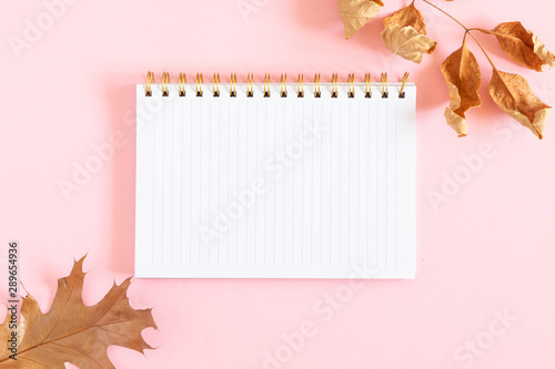 Autumn creative composition. Beautiful dried leaves and notebook on pastel pink background. Fall concept. Autumn background. Flat lay  top view  copy space