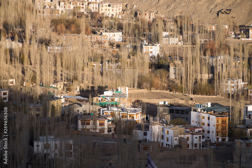 Fototapeta premium Lanscape scene of Leh city and mountain layer with shade and light. Ladakh, India land of high passes.