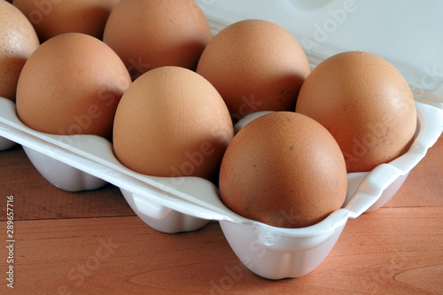 Chicken eggs in an egg container