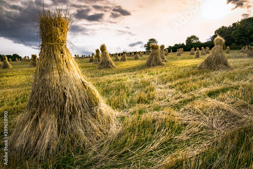 Traditional Irish Haystacks photo