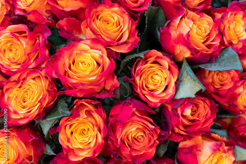 Fototapeta Naklejka Na Ścianę i Meble -  Beautiful orange roses background. Floral abstract background for wedding and engagement.