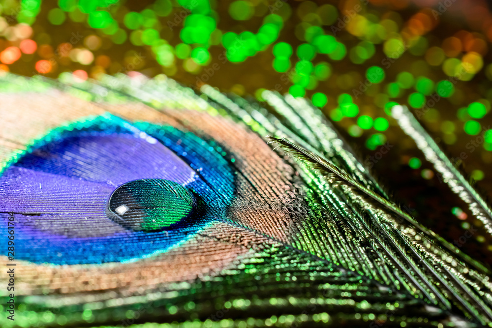 Naklejka premium macro photo of a round drop of water on a peacock feather and colorful bokeh