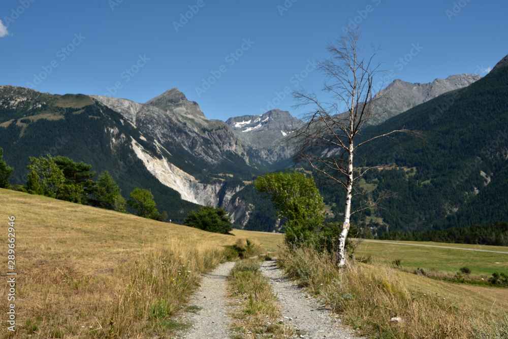 hiking trails on the cross plan 