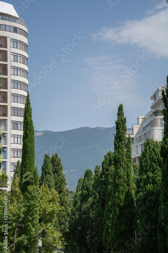 Wallpaper Mural Yalta Torontodigital.ca