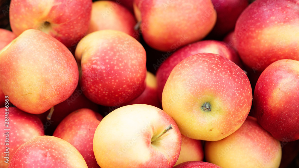 Apple harvest. Ripe red apples background. Apple harvest. Ripe red apples background.