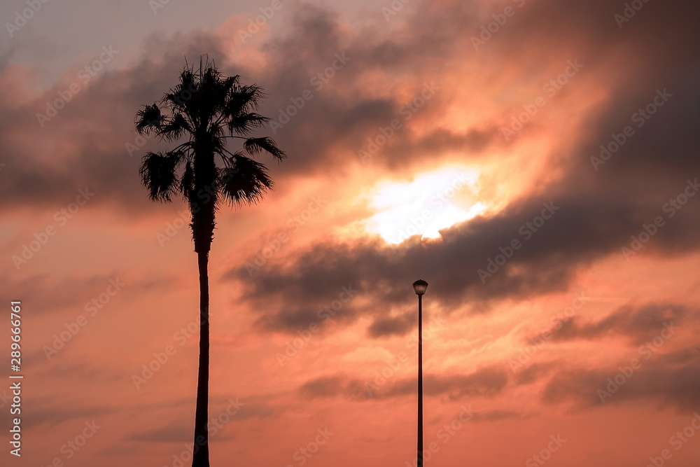 Palm tree and street lamp, heavy dramatic clouds and bright sky. Beautiful African sunset over the lagoon. Palm tree and street lamp, heavy dramatic clouds and bright sky. Beautiful African sunset over the lagoon.