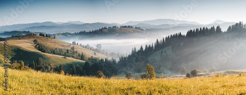 Awesome alpine highlands in sunny day. Location Carpathian national park, Ukraine, Europe.