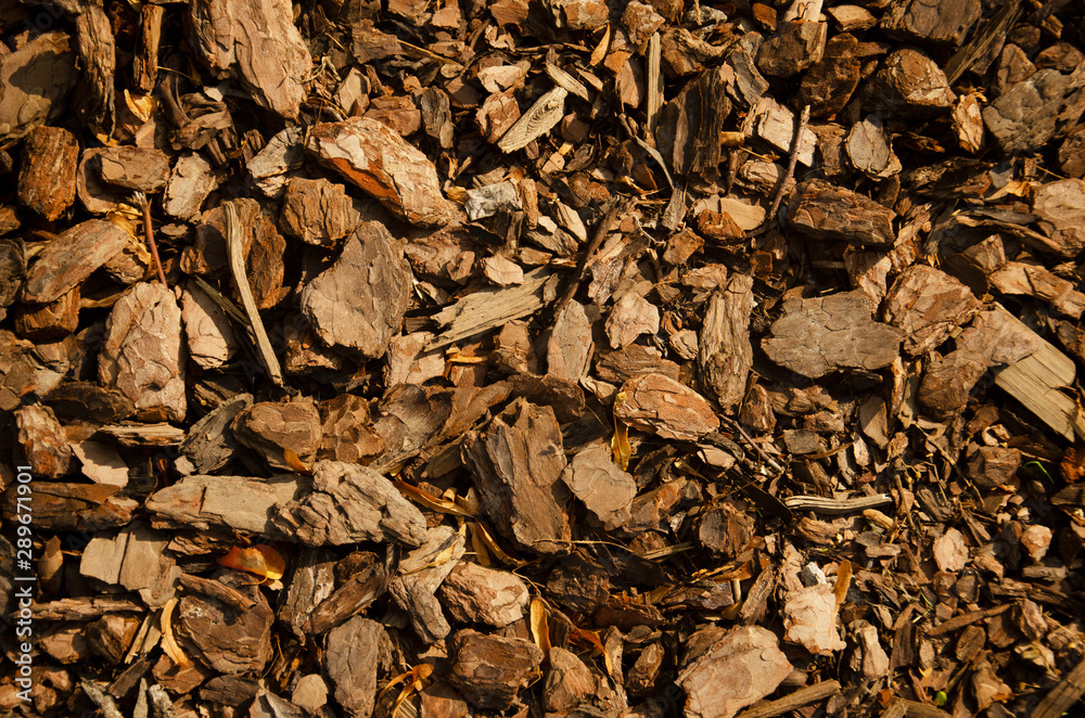 Tree bark pieces natural agriculture decorative filler Tree bark pieces natural agriculture decorative filler