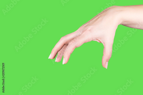 Closeup view of beautiful female hand with natural pastel color manicure isolated on green background. Female hand in gesture as if grabbing or holding something invisible, virtual with five fingers. 