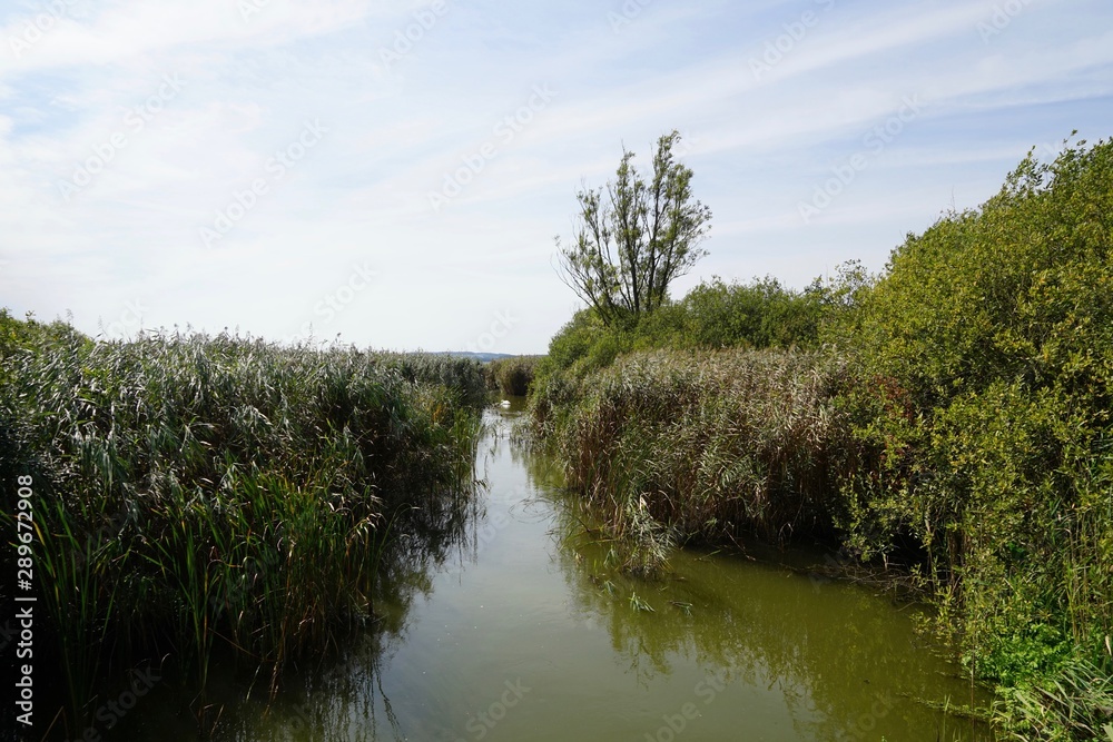 Die Aalbeek am Hemmelsdorfer See