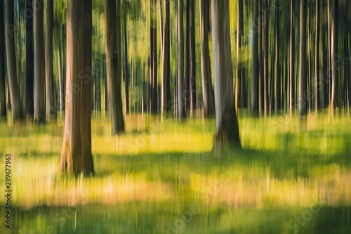 Intentional camera movement ICM photo of a green forest on a sunny summer day. Blurred nature background concept photo