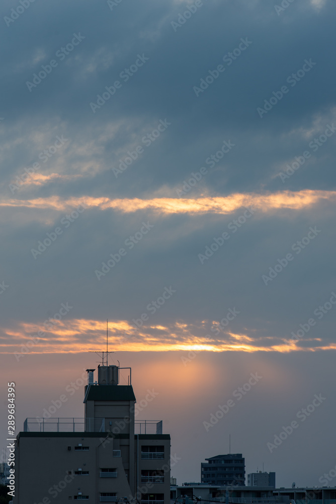 Fototapeta premium 東京の空