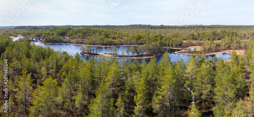 Panorama of a bog at daylight in Estonia