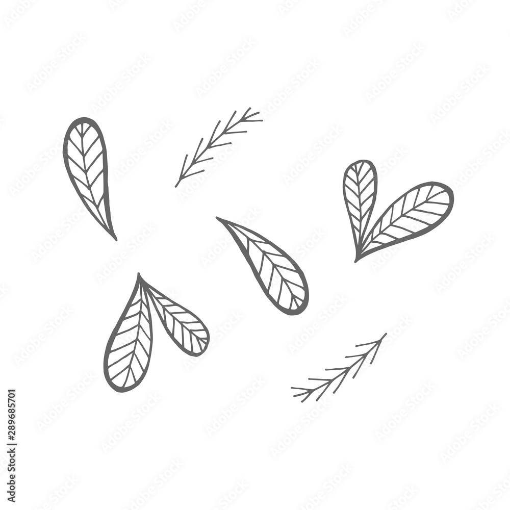 Set of fir, pine branches isolated on white background. Vector illustration