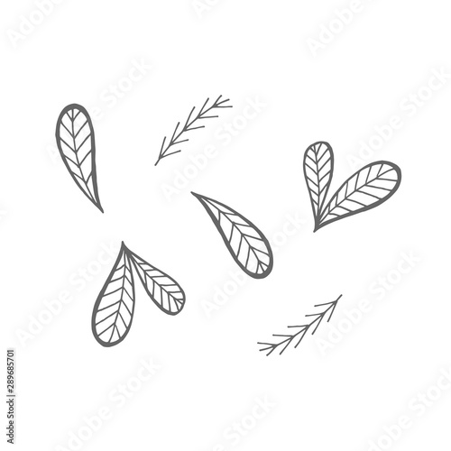 Set of fir, pine branches isolated on white background. Vector illustration